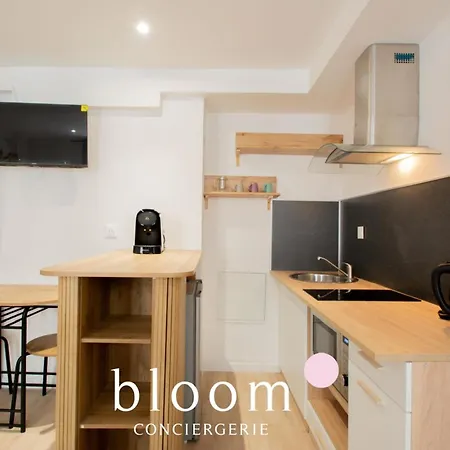Apartment Hyper Centre Le Des Artistes 3 *